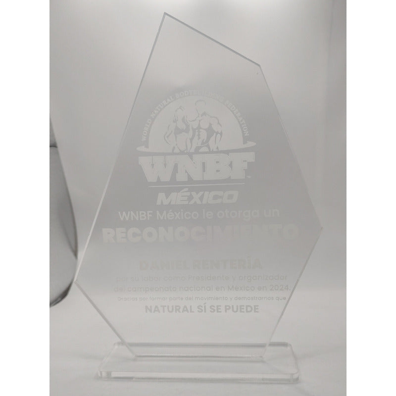 Reconocimientos Sin Grabar 15x20cm Acrilico 6mm 5pzas